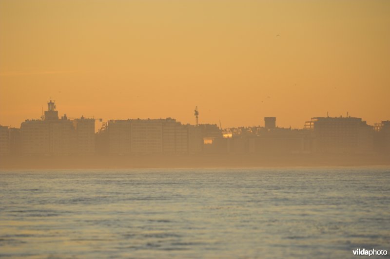 Zicht op Oostende