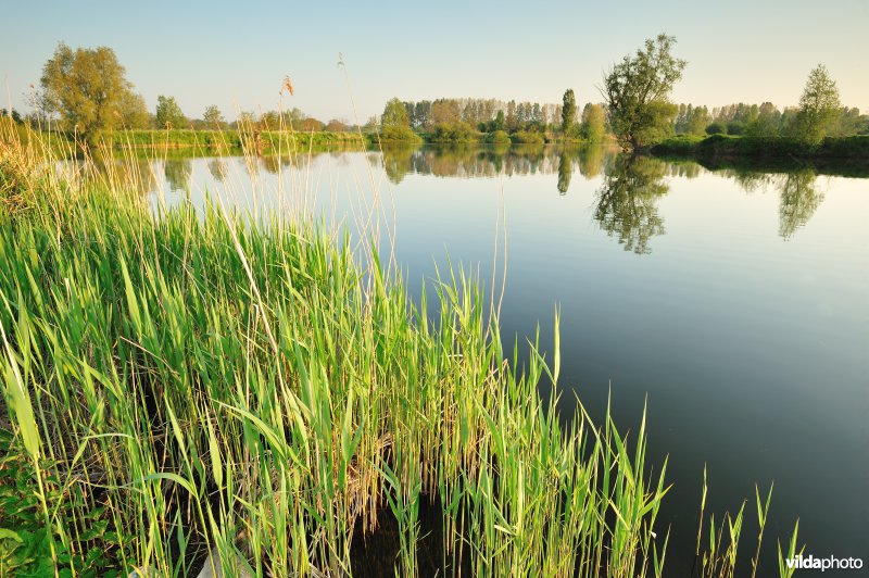 Natuurreservaat Oude Durme