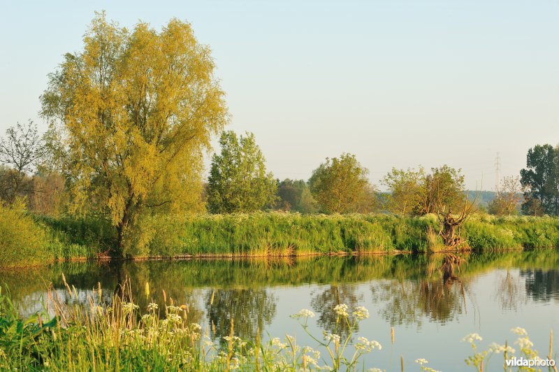 Natuurreservaat Oude Durme