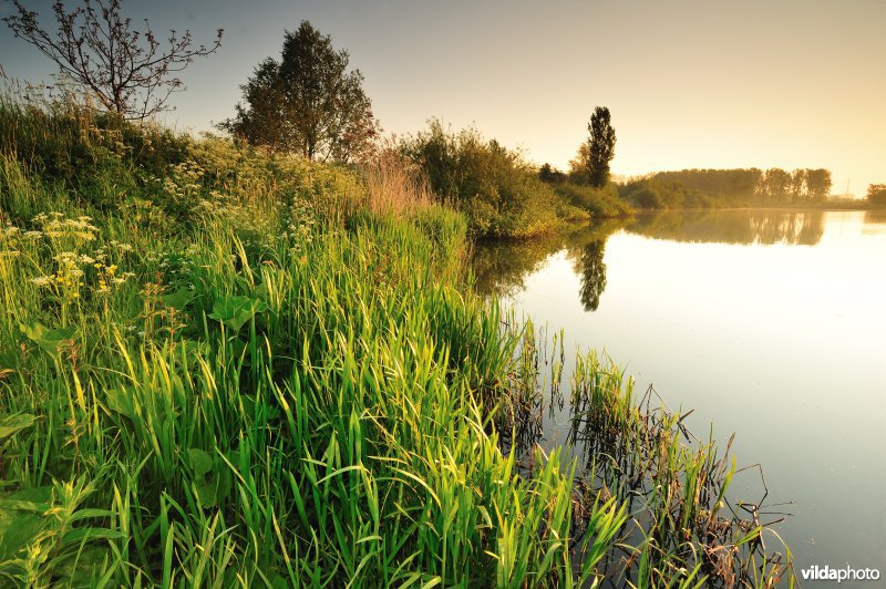 Natuurreservaat Oude Durme
