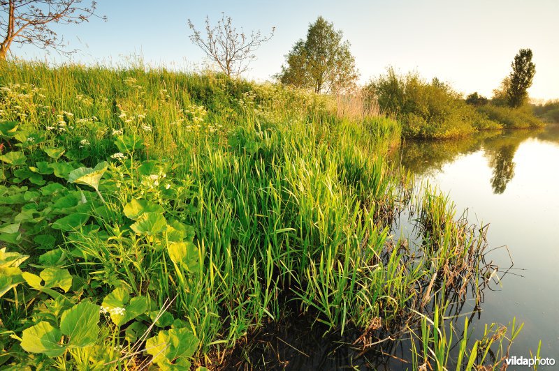 Natuurreservaat Oude Durme