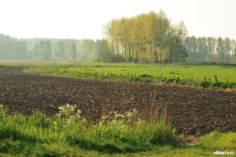 Natuurgebied Weijmeerbroek