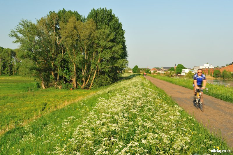 Paardebroek in Berlare