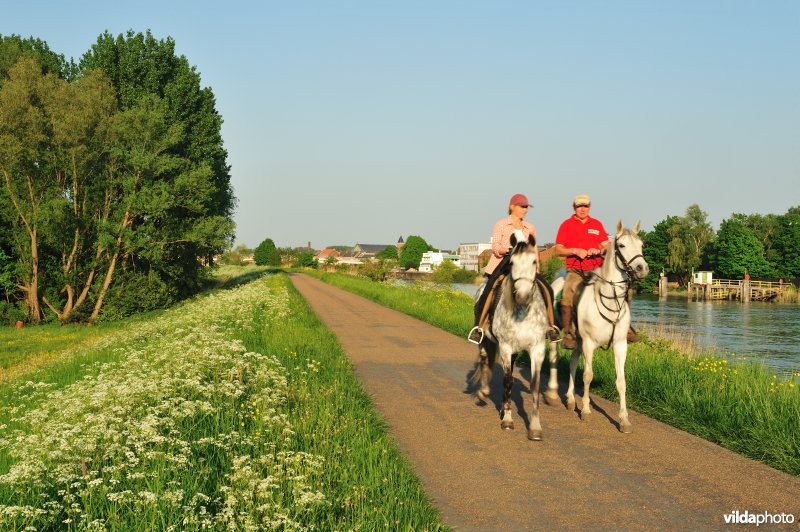 Paardebroek in Berlare