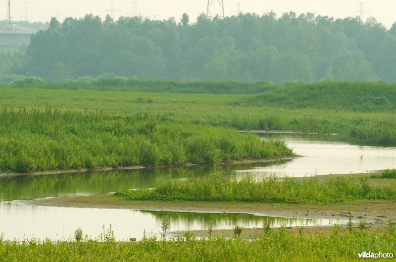 Vlakte van Zwijndrecht