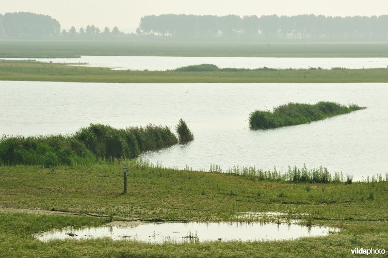 Zoetwaterkreek-Putten West