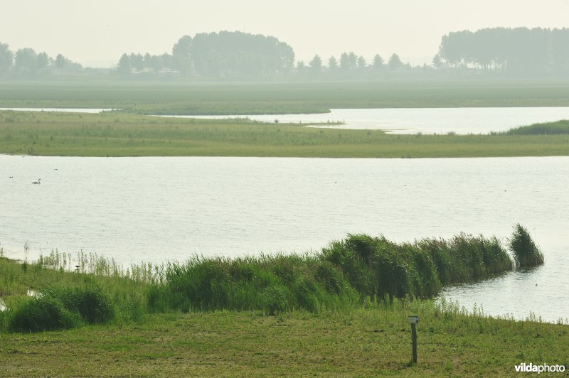 Zoetwaterkreek-Putten West