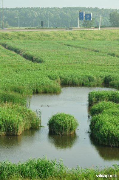 Steenlandpolder