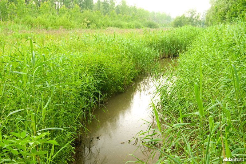 Vlassenbroekse polders