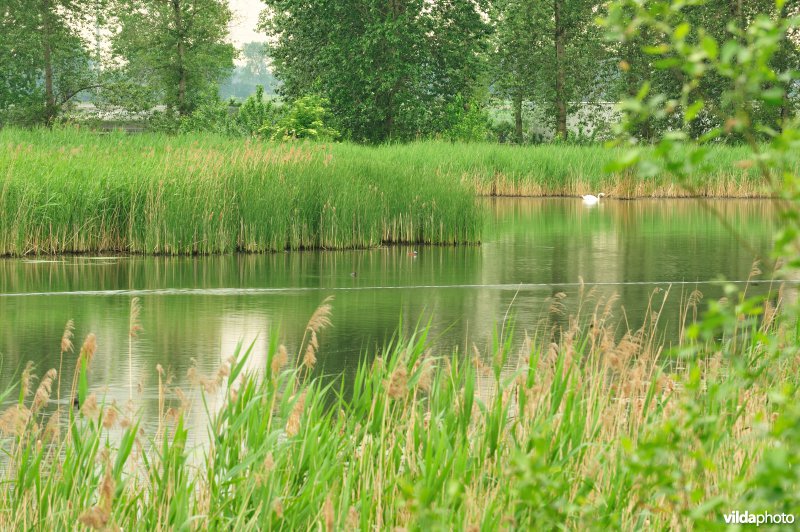 Haasop-Zuidelijke Groenzone