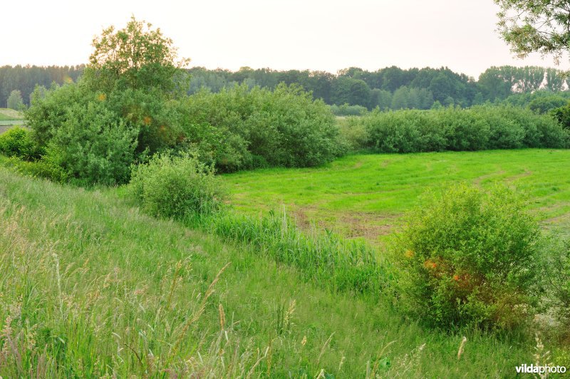 Groot-Broek