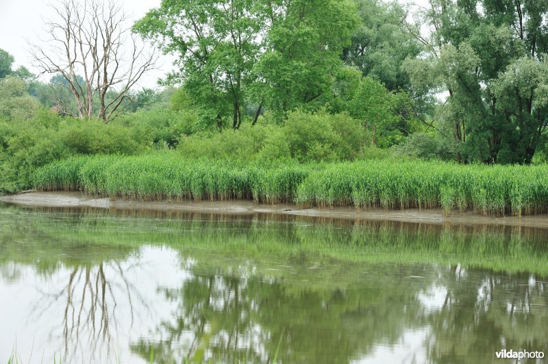De Durme in Appelsvoorde