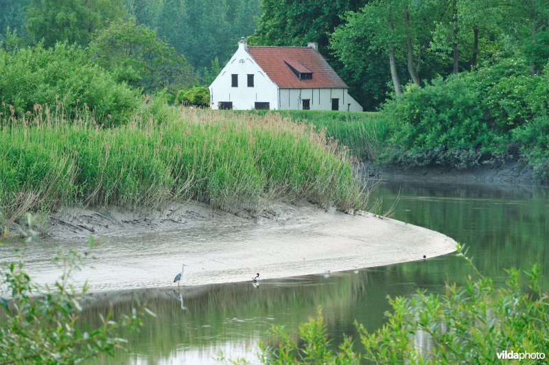 De Durme in Hamme