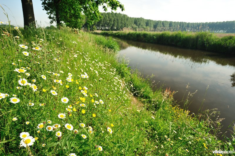 Kalkenvaart