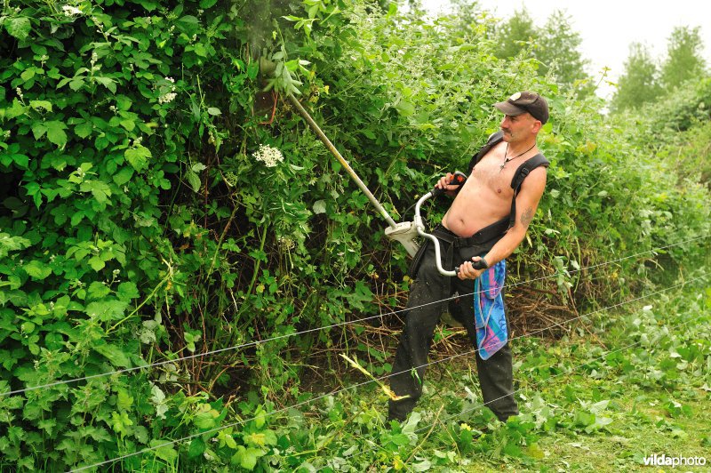 Natuurarbeider