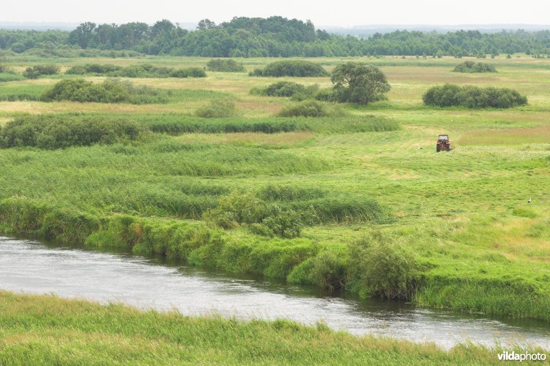 Vallei van de Biebrza