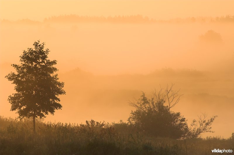 Vallei van de Biebrza