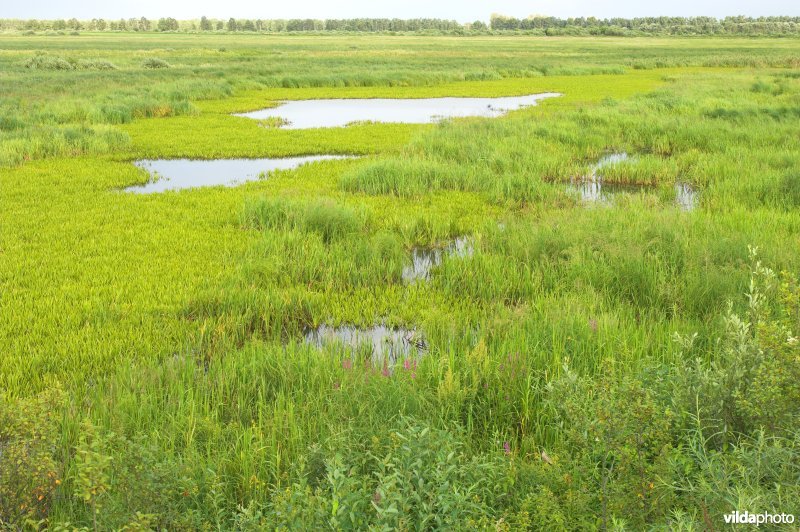 Vallei van de Biebrza