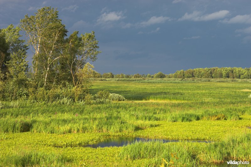 Vallei van de Biebrza