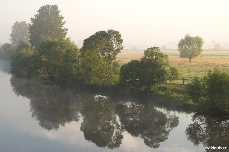 De Narew rivier