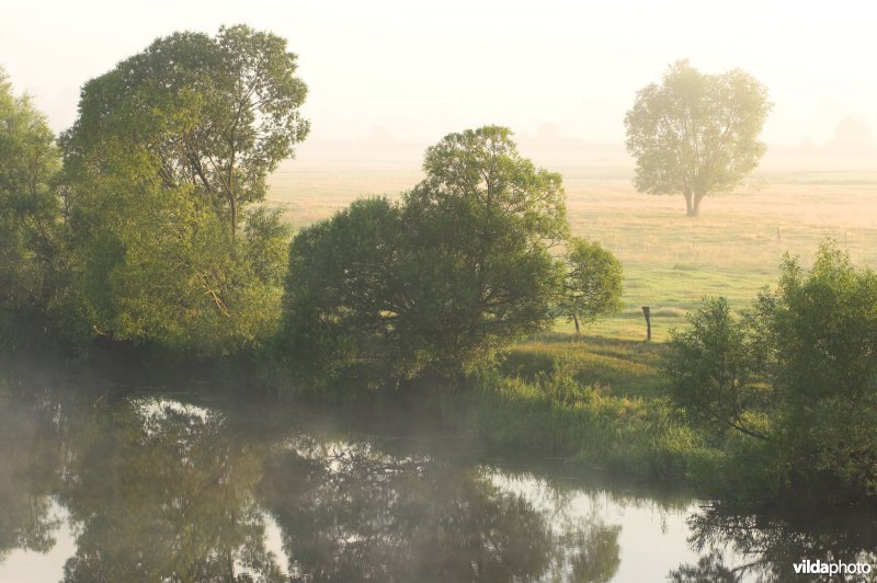 De Narew rivier