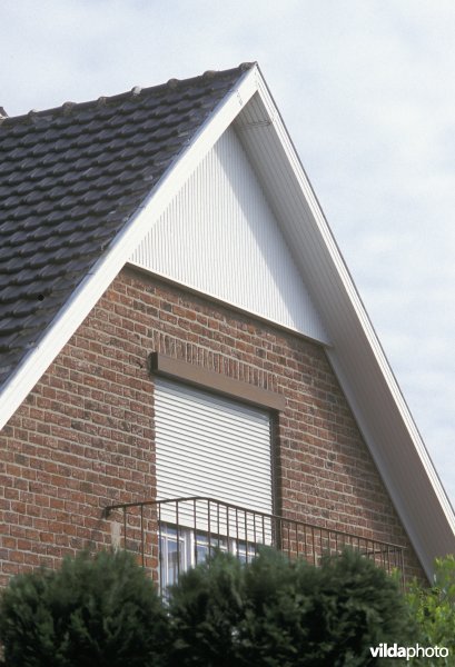 Gevelbekleding waar vleermuizen achter zitten
