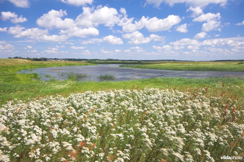 De Narewvallei in de Biebrza
