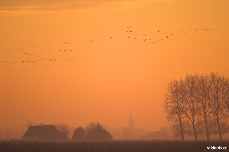 Uitkerkse polders