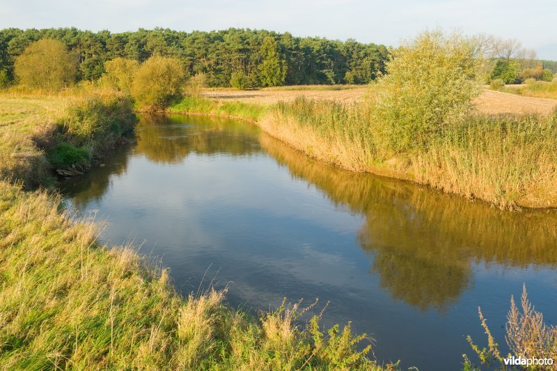 Demervallei te Langdorp