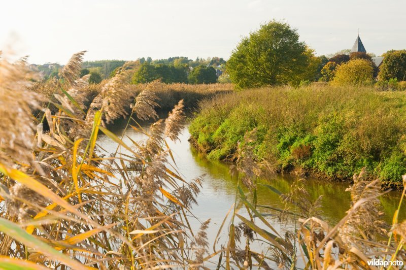 Demervallei te Langdorp