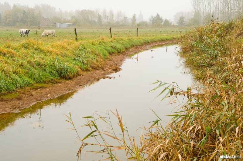 Leigracht in de Demerbroeken