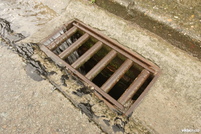 Straatkolk na regenbui