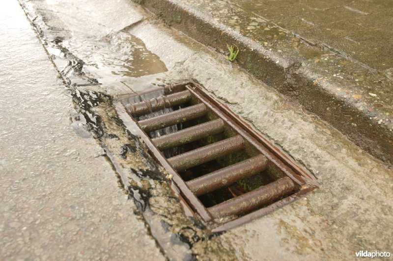 Straatkolk na regenbui