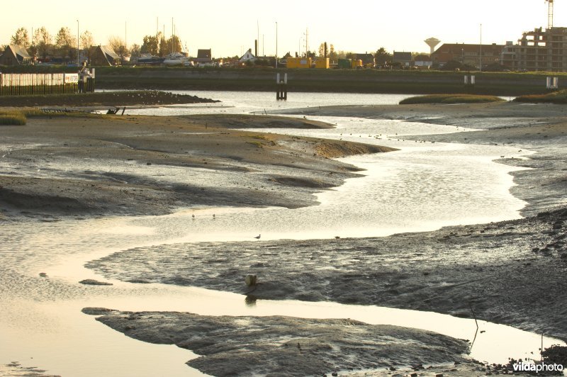 Kreek in de IJzermonding