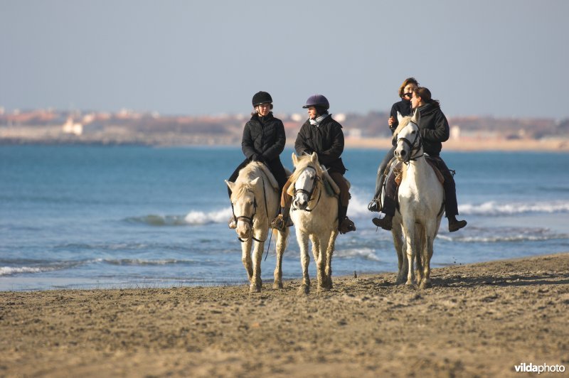 Ruiters op het strand
