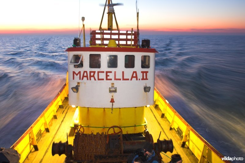 Vissersboot Marcella II