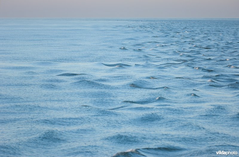 Stroming aan de rand van een zandbank