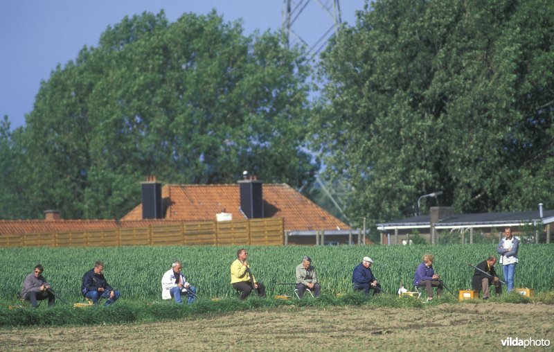 Vinkenzetting