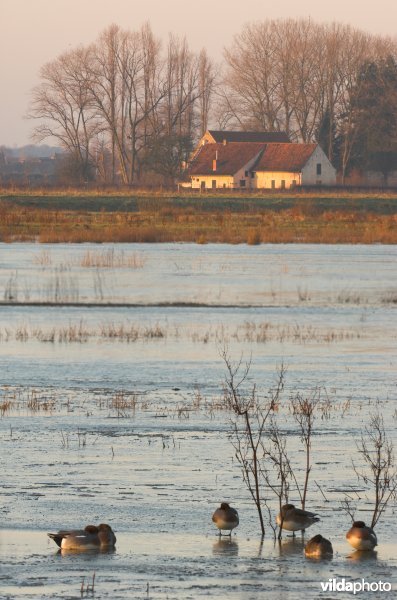 Valkenhuishoeve