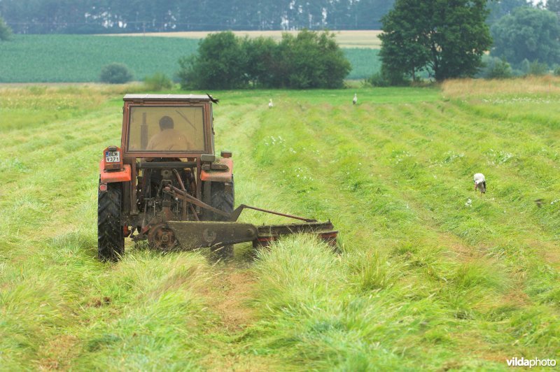 Boer aan het maaien