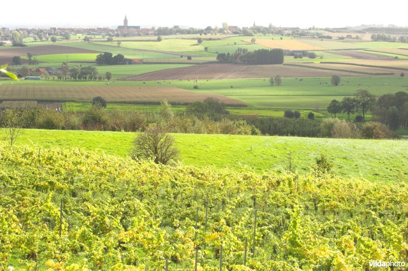 Heuvelland