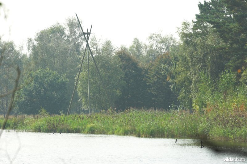 Nestpaal voor visarend in het Zilvermeer