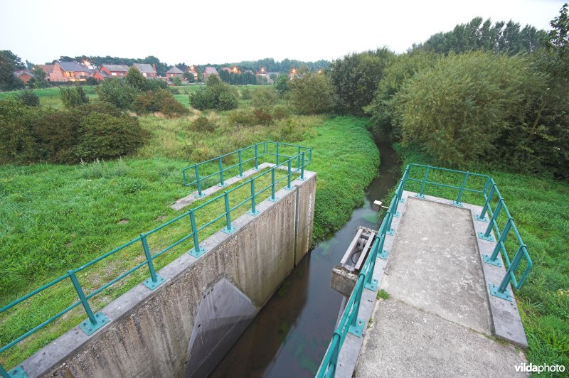 Wachtbekken aan de Dommel