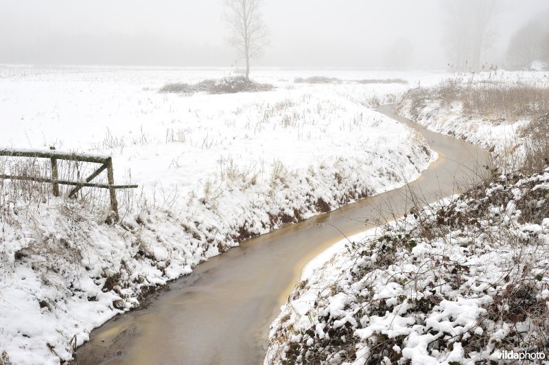 Leigracht in de Demerbroeken