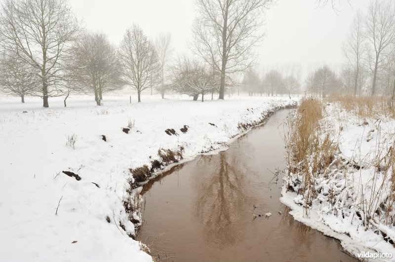 Leigracht in de Demerbroeken