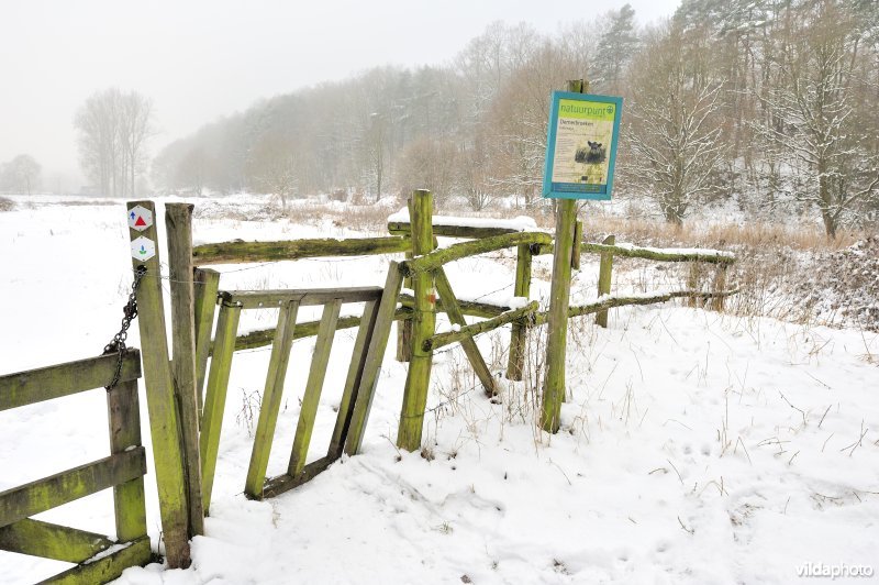 Toegangspoortje tot het natuurreservaat de Demerbroeken in de sneeuw