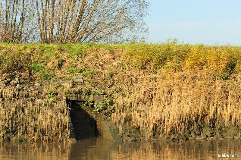 Overstort op de Schelde