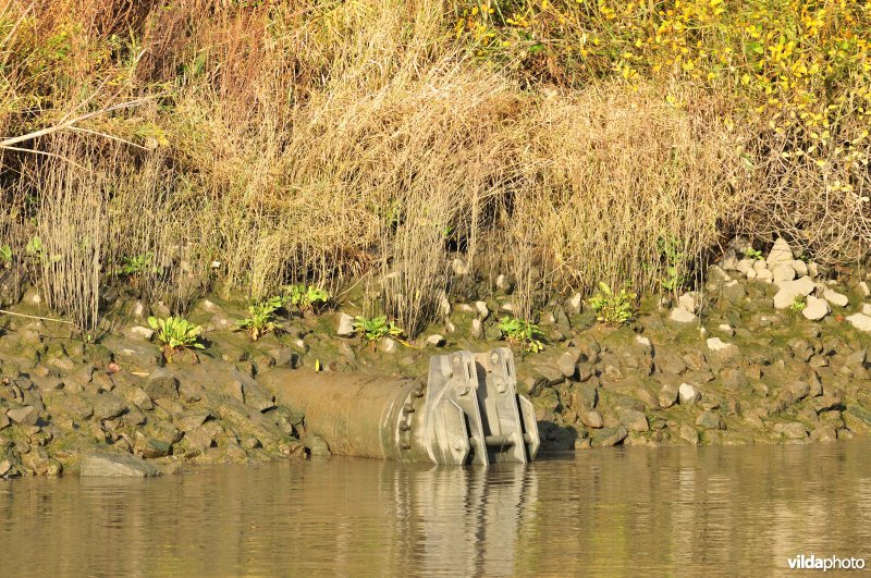 Overstort op de Schelde