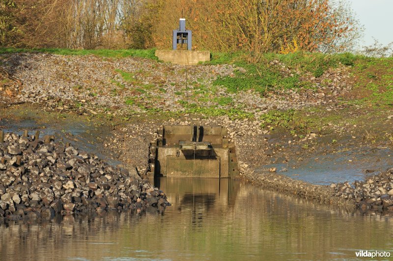 Overstort op de Schelde