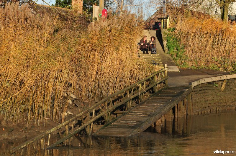 Overzet van Appels tussen het riet